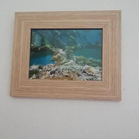 Volarevic アパート